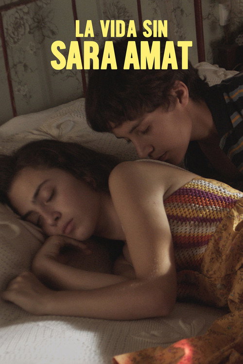 Locandina di Life without Sara Amat