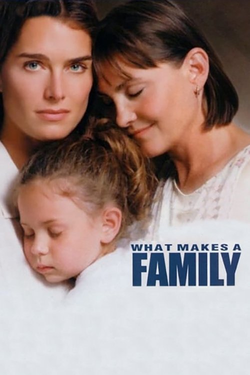 Póster de What Makes a Family