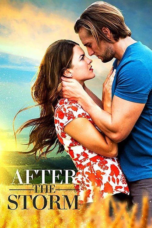 Póster de After the Storm