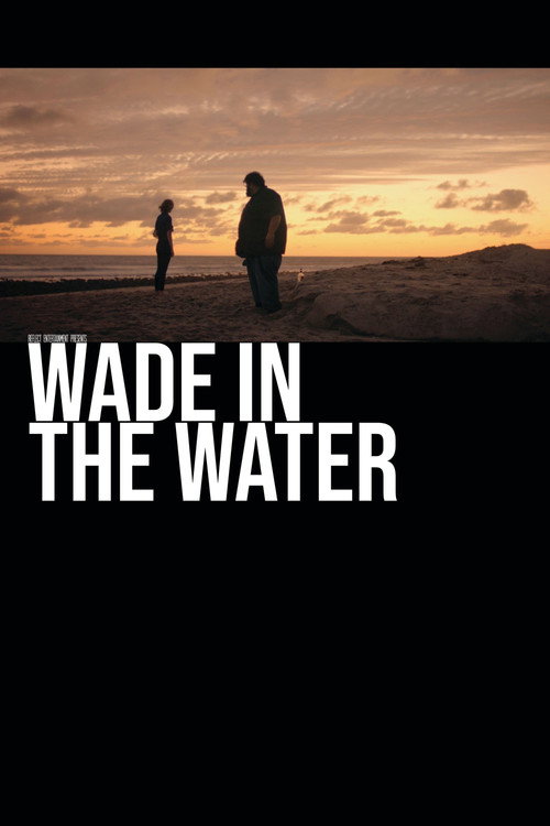 Póster de Wade in the Water