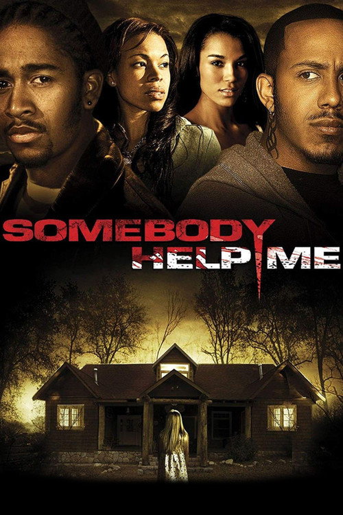 Póster de Somebody Help Me
