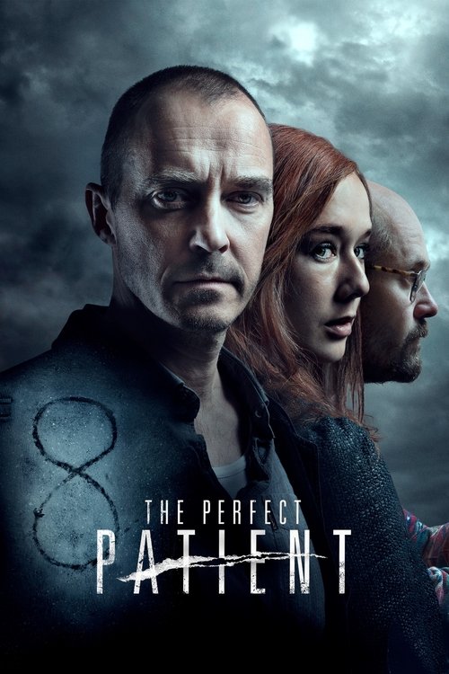 Póster de The Perfect Patient