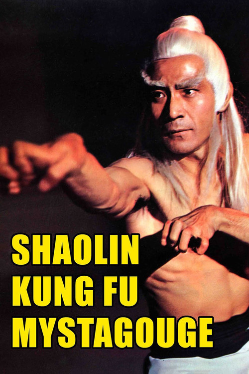 Póster de Shaolin Kung-Fu Mystagogue