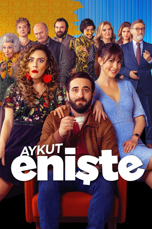 Póster de Brother in Love