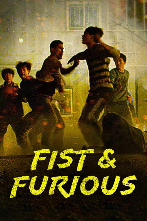 Póster de Fist & Furious