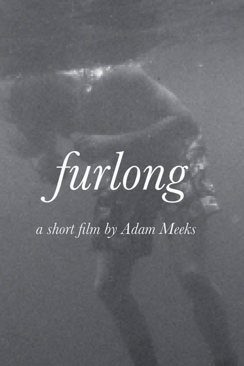 Locandina di Furlong