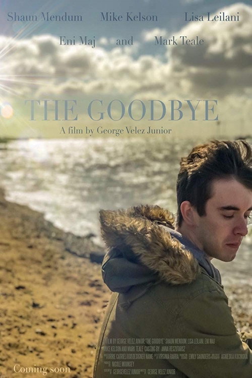 Póster de The Goodbye