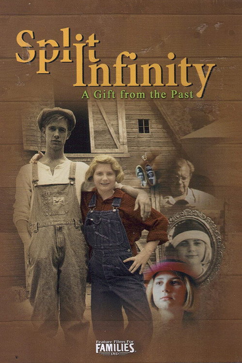 Póster de Split Infinity
