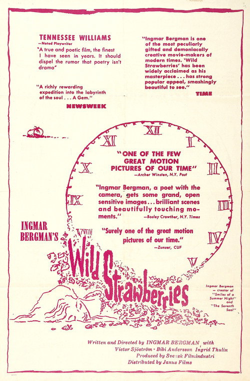 Póster de Wild Strawberries