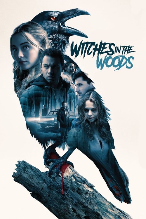 Póster de Witches in the Woods