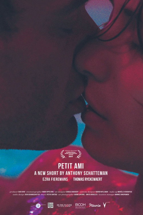 Póster de Petit ami