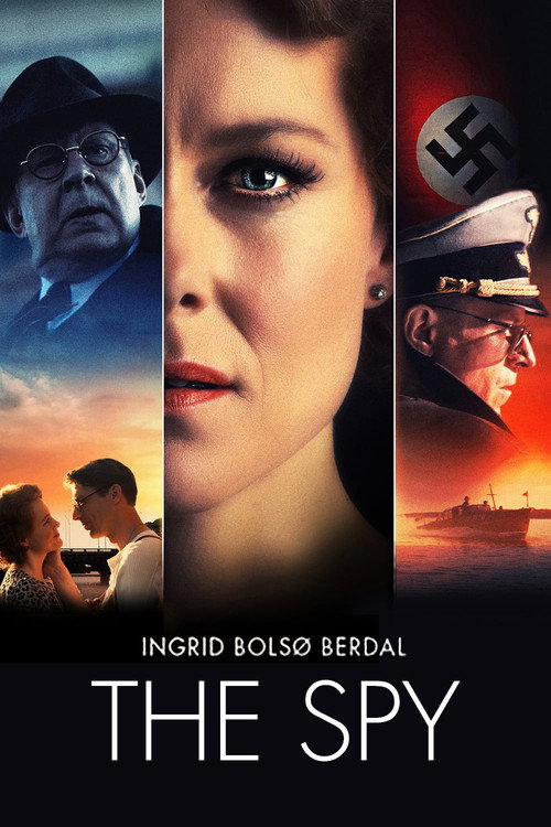 Póster de The Spy