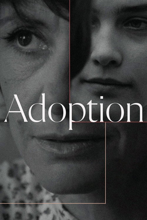 Póster de Adoption