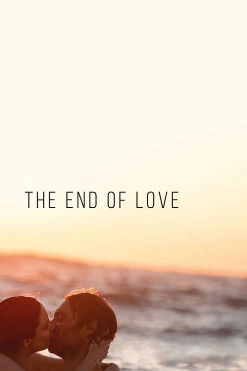 Póster de The End of Love