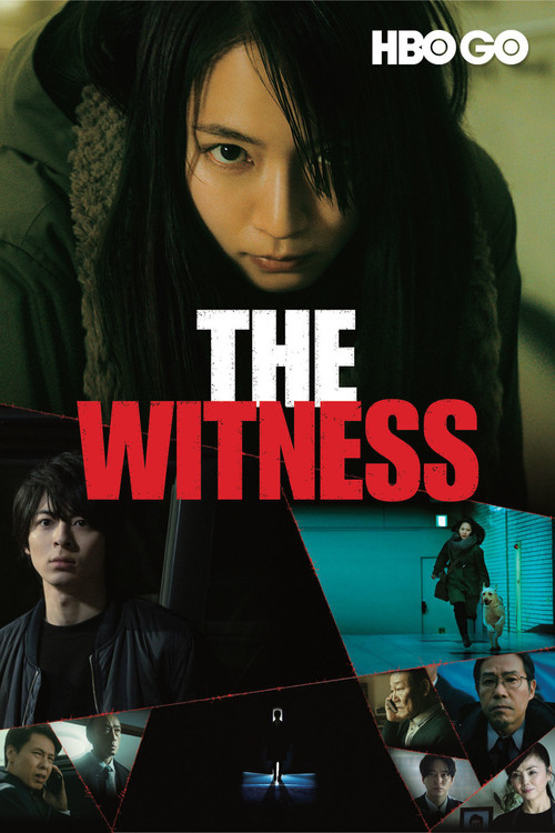 Póster de The Witness