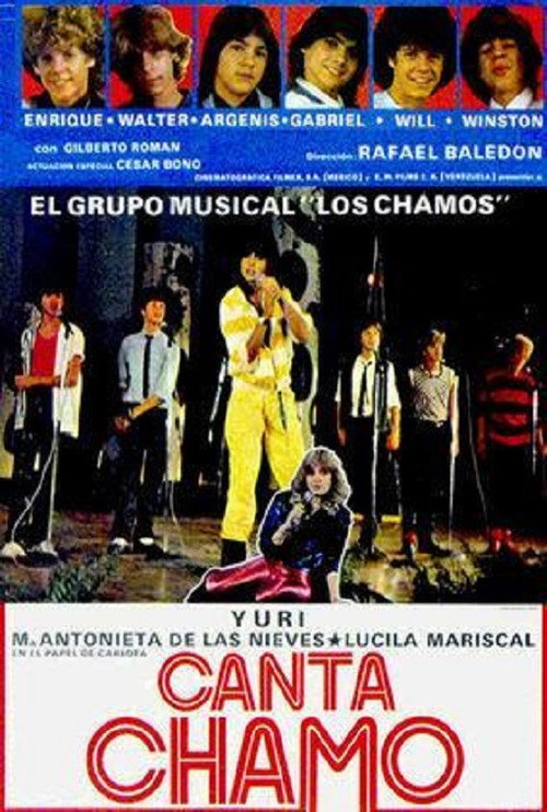 Póster de Secuestro en Acapulco