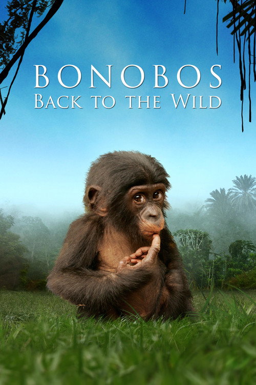 Póster de Bonobos: Back to the Wild
