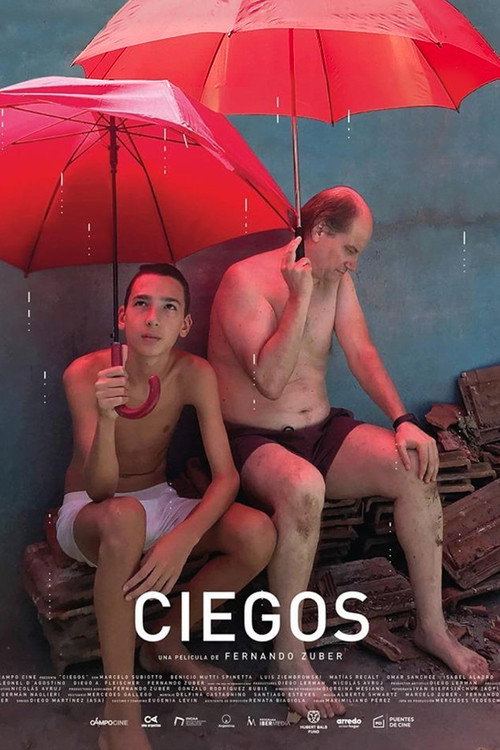 Pôster de Ciegos