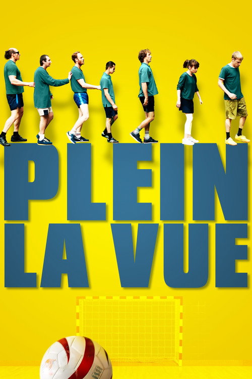 Locandina di Plein la vue