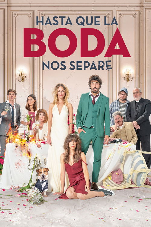 Póster de Hasta que la boda nos separe