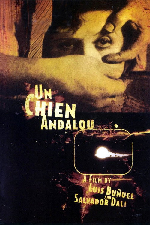 Póster de Un Chien Andalou