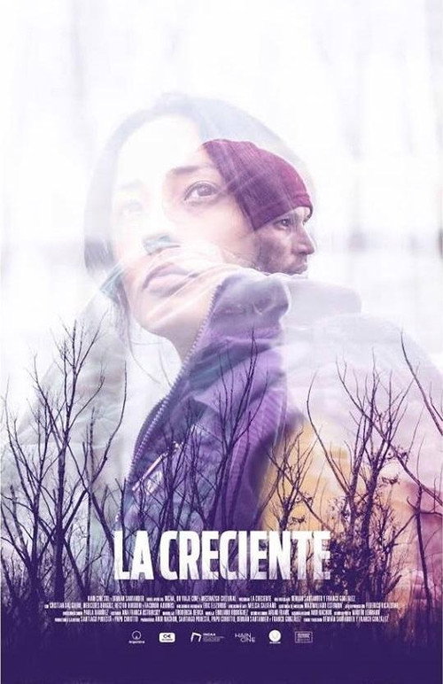 Póster de La creciente