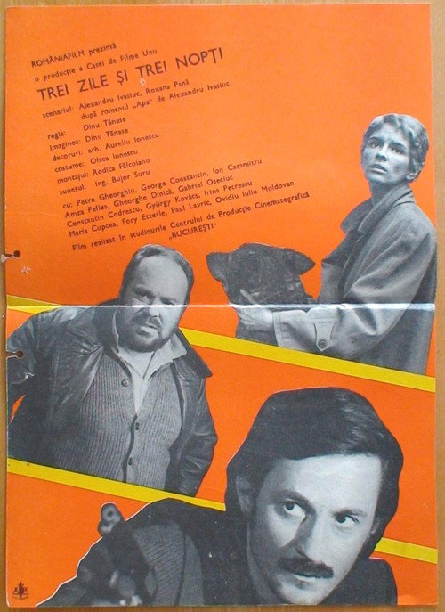 Póster de Three Days and Three Nights