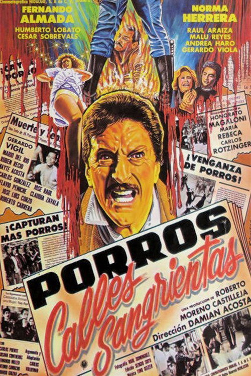 Poster of Bloody Streets