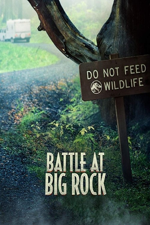 Póster de Battle at Big Rock