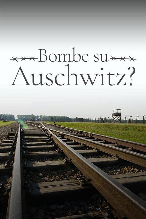 Póster de 1944: Should We Bomb Auschwitz?