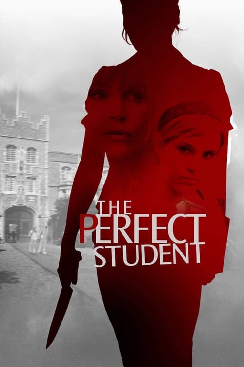 Póster de The Perfect Student