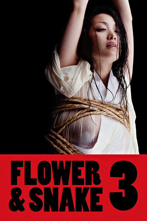 Póster de Flower & Snake 3
