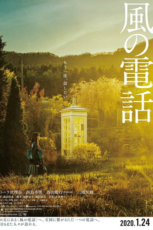 Póster de Voices in the Wind