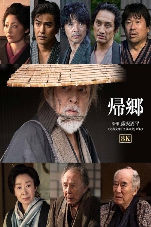 Poster von The Return