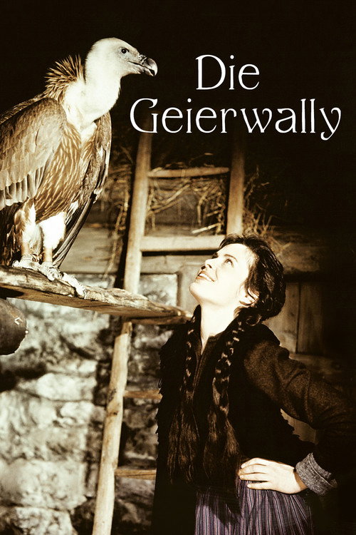 Póster de Wally of the Vultures