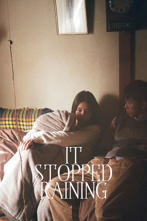 Póster de It Stopped Raining