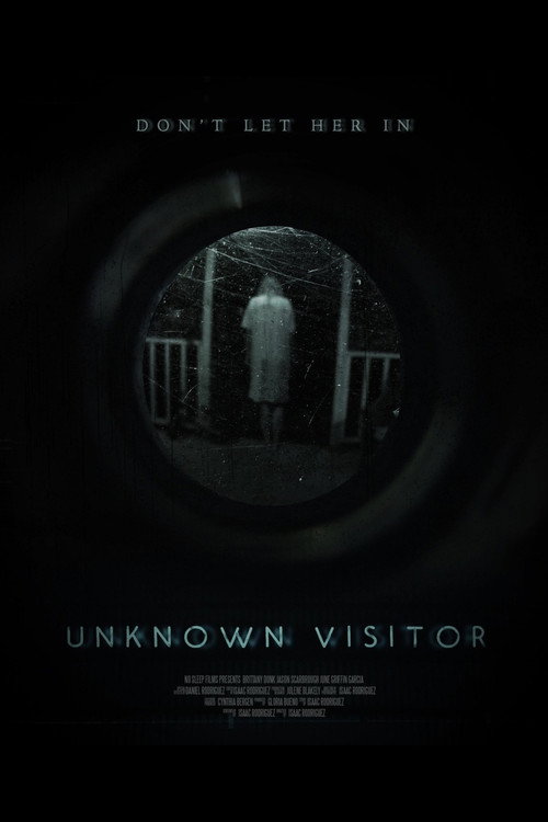 Locandina di Unknown Visitor