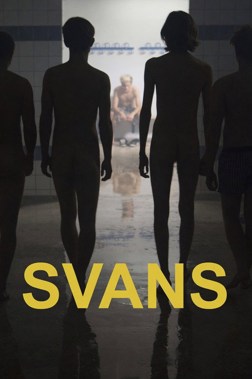 Póster de Swans