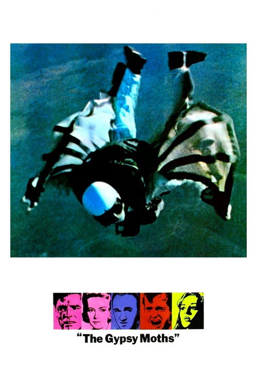 Póster de The Gypsy Moths