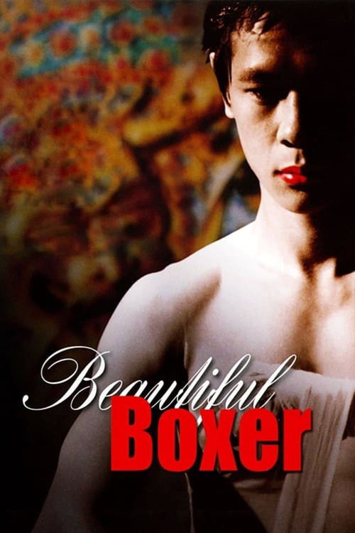 Póster de Beautiful Boxer