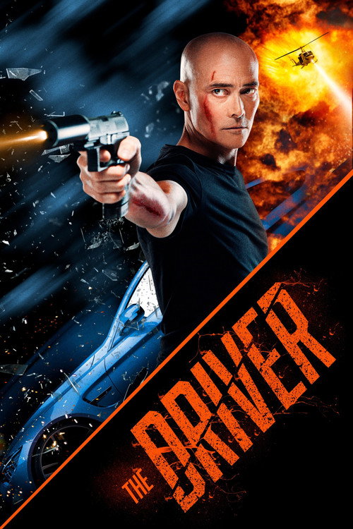 Póster de The Driver