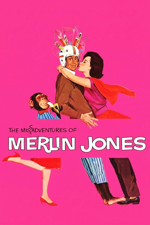 Póster de The Misadventures of Merlin Jones