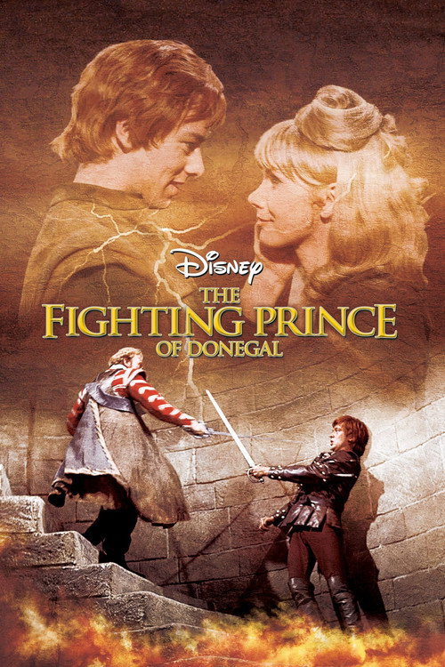 Póster de The Fighting Prince of Donegal