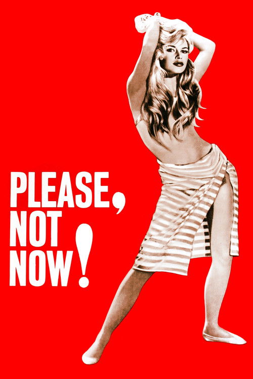 Póster de Please, Not Now!