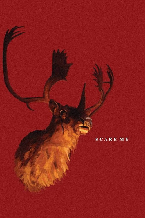 Póster de Scare Me