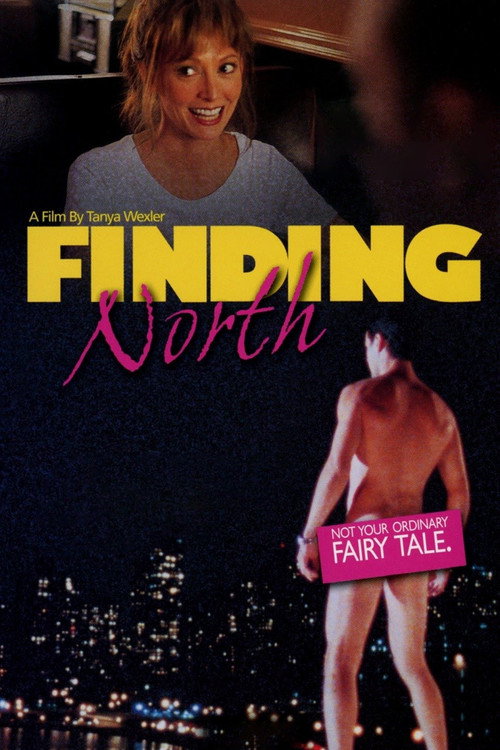 Póster de Finding North