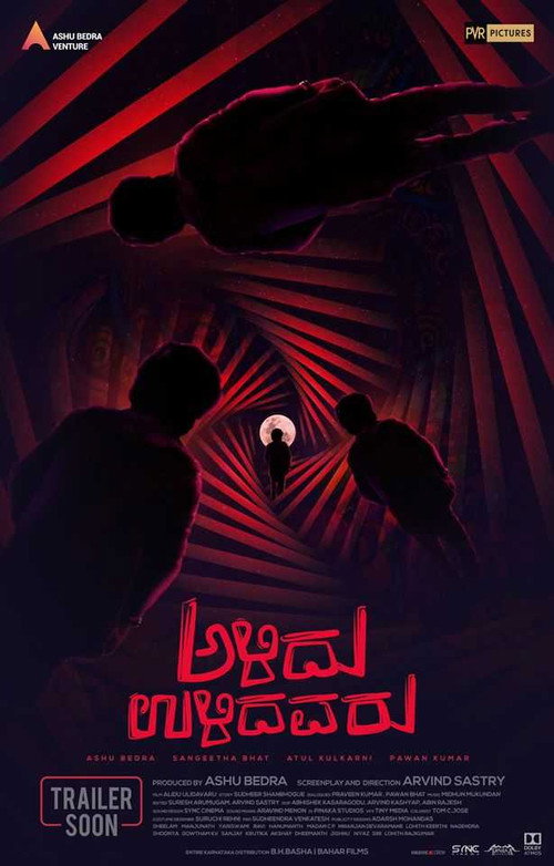 Póster de Alidu Ulidavaru
