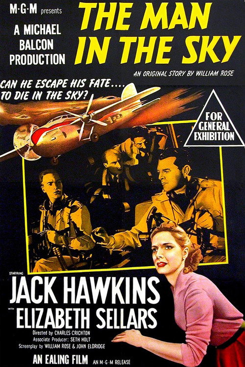 Poster von The Man in the Sky