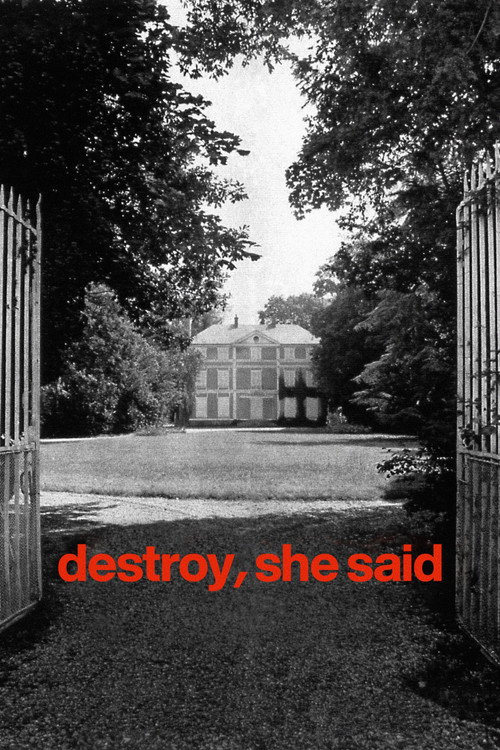 Póster de Destroy, She Said