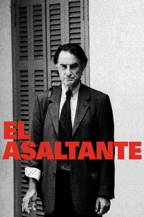Póster de El asaltante